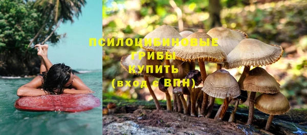 прущая мука Богородск