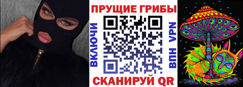 Купить  Гай  Галлюциногенные грибы мицелий 